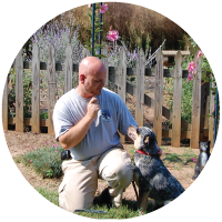 Dog Training Programs serving the Greater Charlotte, NC area